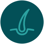 Mejor salud del cabello