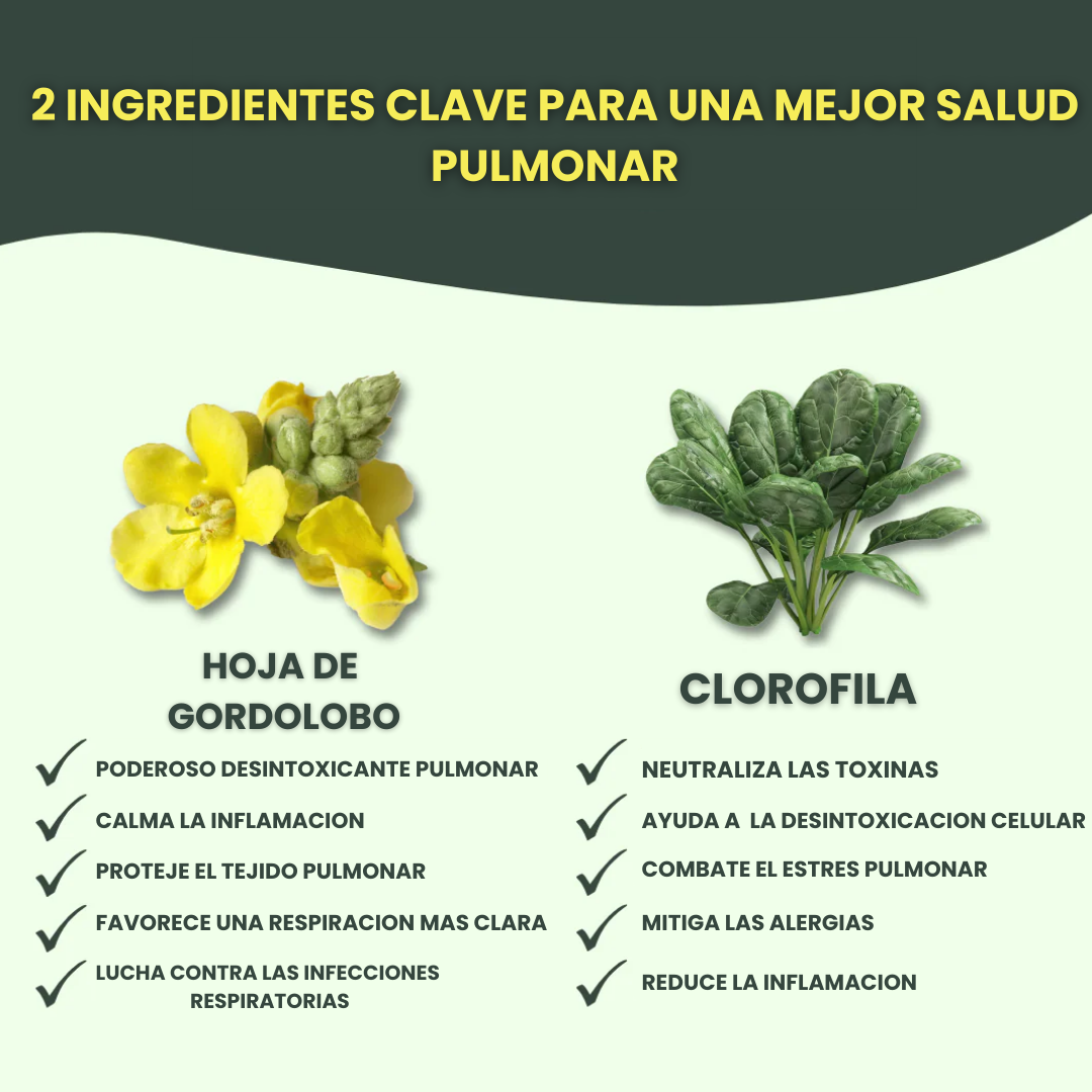 GOTAS DE GORDOLOBO/ SIENTETE BIEN🍃/ OFERTA ESPECIAL COMPRA 1 + 1 GRATIS🎁