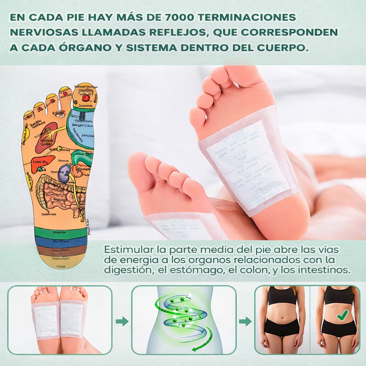 Parches Détox para Pies – Alivio, Frescura y Bienestar Mientras Duermes. OFERTA 3x1🎁
