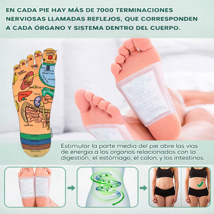 Parches Détox para Pies – Alivio, Frescura y Bienestar Mientras Duermes. OFERTA 3x1🎁