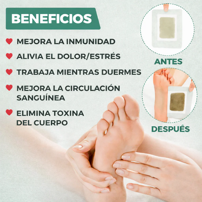 Parches Détox para Pies – Alivio, Frescura y Bienestar Mientras Duermes. OFERTA 3x1🎁